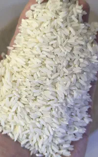 برنج پاکستانی تضمین