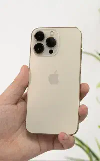 13pro