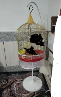 قفس پایه دار