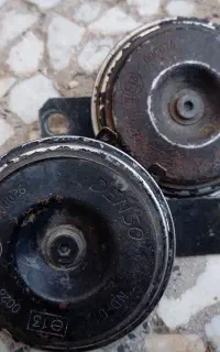 بوق دنسو