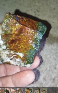 راف عقیق شجر