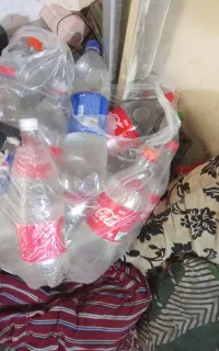 عرق،نعناع