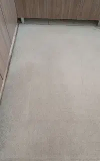 پالاز موکت