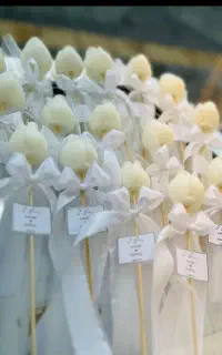 عکس از هرجا بدید درست میشه ارسال به سراسر کشور