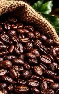 قهوه عمده