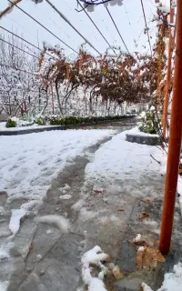 نیازمند کار درمنزل