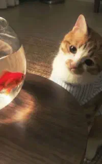 تور اختصاصی زنده