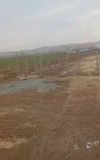 باغبانی وفنس کشی