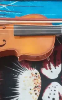ویالون