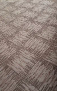 موکت سالم و نو