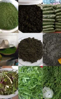 سبزی آماده