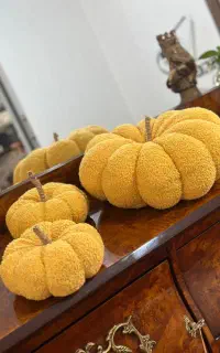 کوسن کدوی تنبل