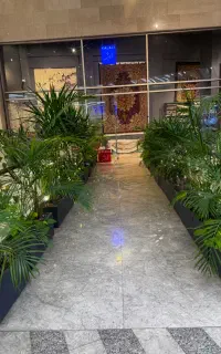 فصاسازی و رسیدگی به گیاهان آپارتمانی