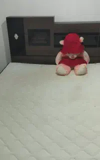 تخت دو نفره همراه با تشک