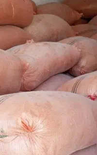 یونجه درجه یک