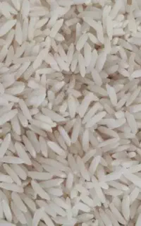 برنج طارم هاشمی