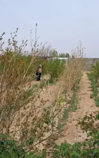 فروش خانه باغ بهادران ( مهدی آباد)