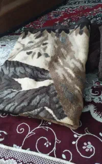 ۱عددپتوارزون