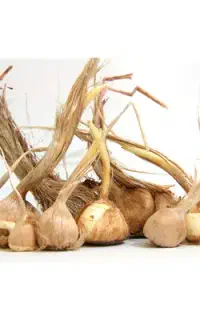 کارگر