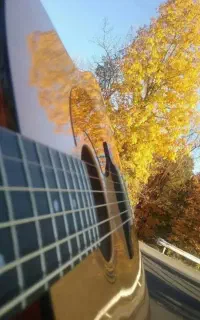 تدریس حرفه ای گیتار پاپ و کلاسیک( مدرس خانم)