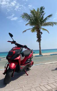 اجاره انواع موتور (رنت روزانه و ماهانه)