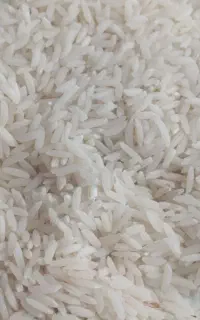 برنج هاشمی کلی 485تک 500