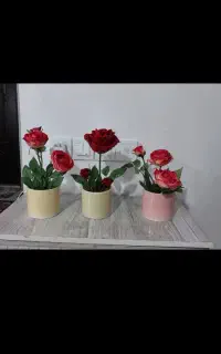 بهترین دکوری ،چشم روشنی،هدیه به دیگران