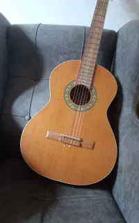 گیتار پارسی مدل M5