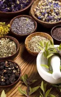 آموزش کار در منزل برای بانوان