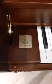 پیانواکستیک سمیک