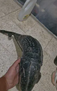 اگزوز Yamaha wr200