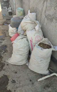 10 کیسه بار کبوتر