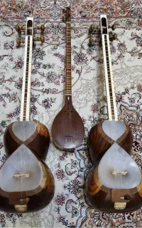 تار و سه تار حرفه ایی