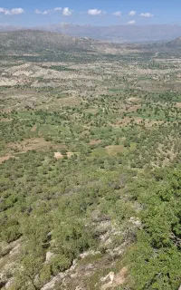 کارگر کشاورزی