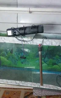 اکوارم