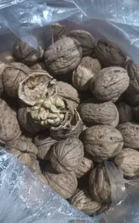 فروش 2کیلو گردو پوست کاغذی درجه1 مغز سفید