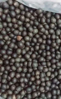 دانه یسر کیلویی ۷۵۰ تومن