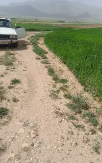 فروش یونجه