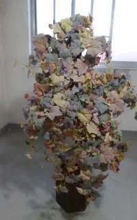 گل گلدان  تزیینی پاییزی