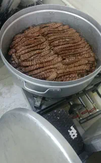تهیه غذای سپهر