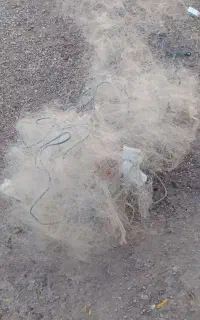تور ماهیگیری