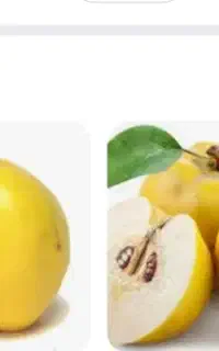 فروش به درجه یک