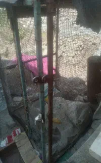 قفس مرغ بزرگ