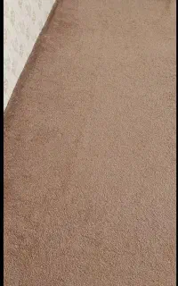 پالاز موکت