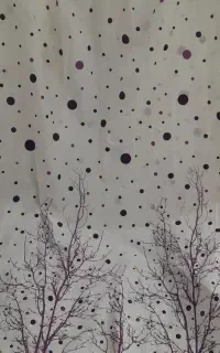 پرده