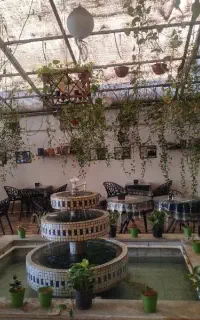 آشپز فرنگی