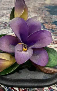 وسایل تزیینی