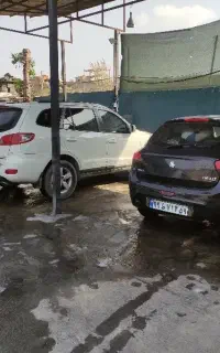 نیروی کار در کارواش