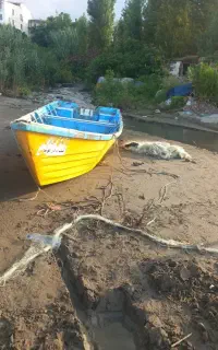 قایق برای ۷۵یا ۱۱۵