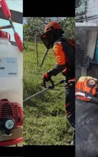 علف چمن زنی سهم پاشی تزئین باغچه درختان خرید چوب